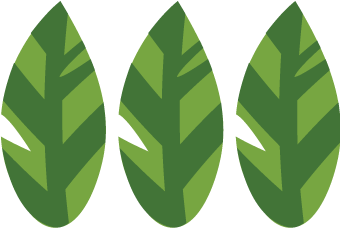 Tropical Leaf SVG File