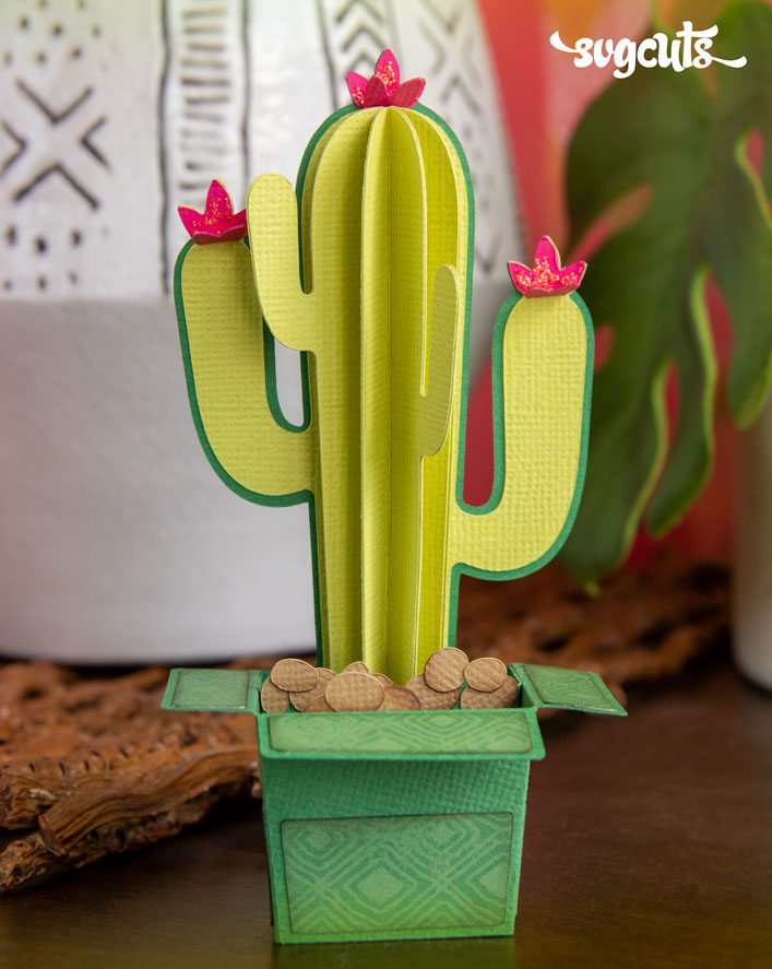 Cactus Box Card